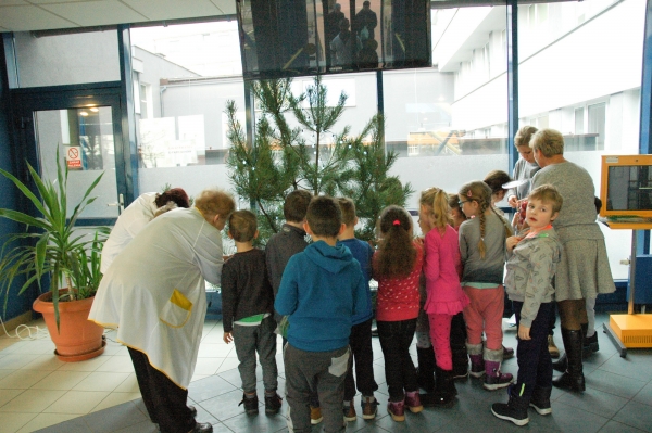 Przedszkolaki udekorowały szpitalne choinki!