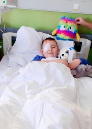 Pluszowy miś lekarstwem na smutki - kolejna akcja organizowana przez IFMSA-Poland Oddział Śląsk